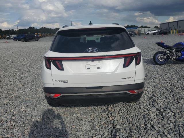 2023 HYUNDAI TUCSON BLU - KM8JBCA15PU087545