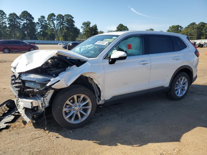 Global Auto Auctions: 2024 HONDA CR-V EXL