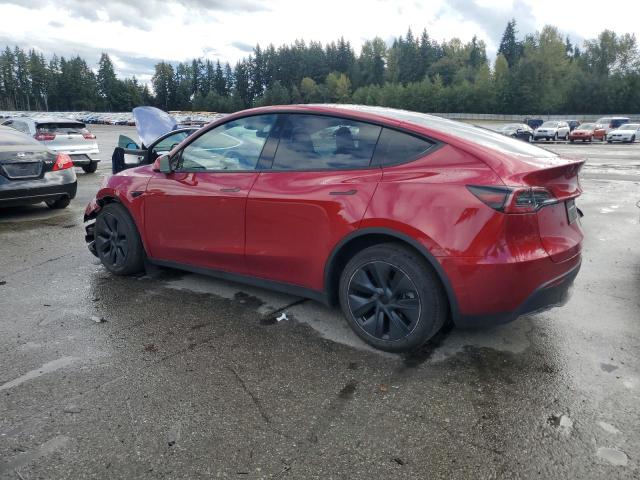 2025 TESLA MODEL Y - 7SAYGDEE9SF244389