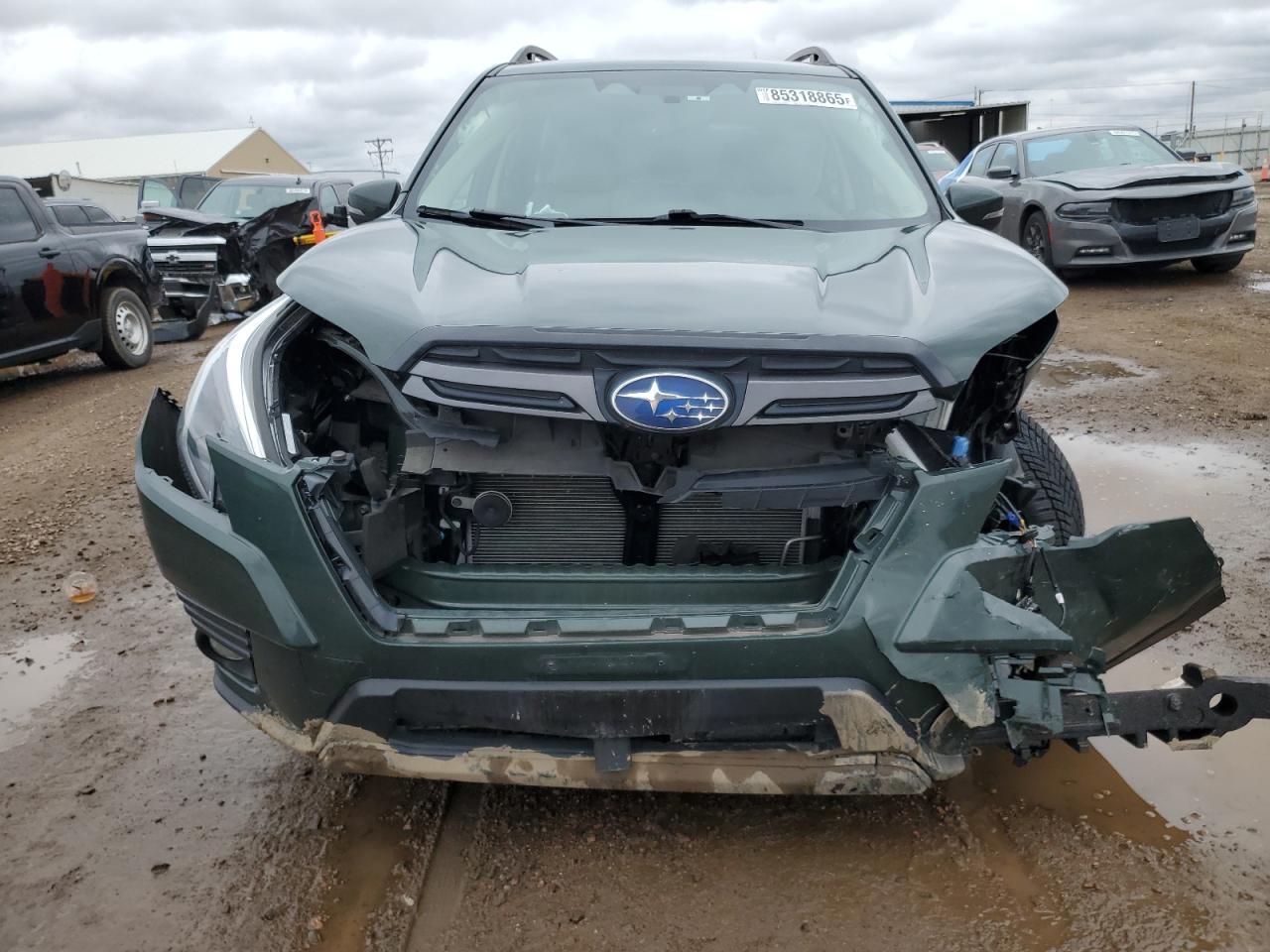 Global Auto Auctions