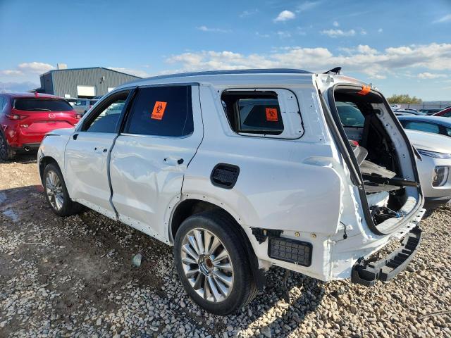 2020 HYUNDAI PALISADE L #3286772891