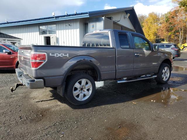 2010 FORD F150 SUPER - 1FTEX1E81AKA19491