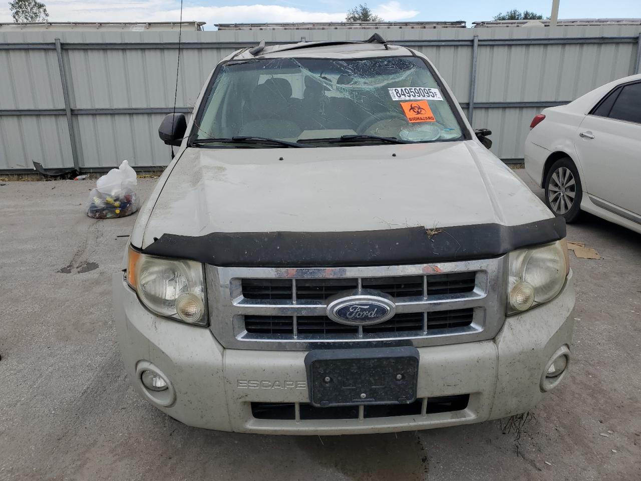 Lot #3279781284 2008 FORD ESCAPE XLT