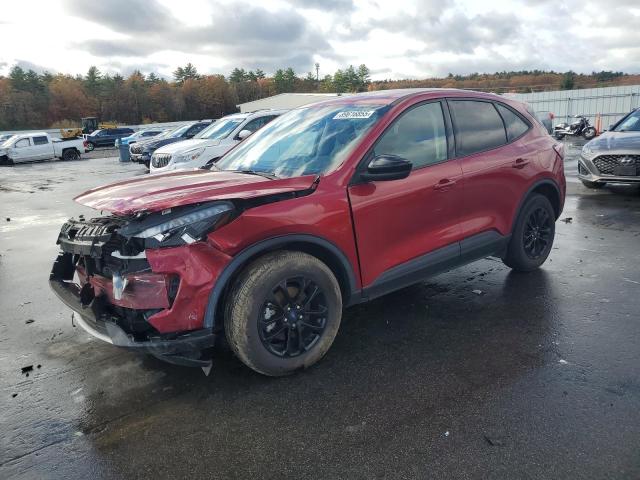 Global Auto Auctions: 2020 FORD ESCAPE SE