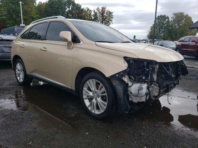 2010 LEXUS RX 450H - JTJBC1BA8A2027364