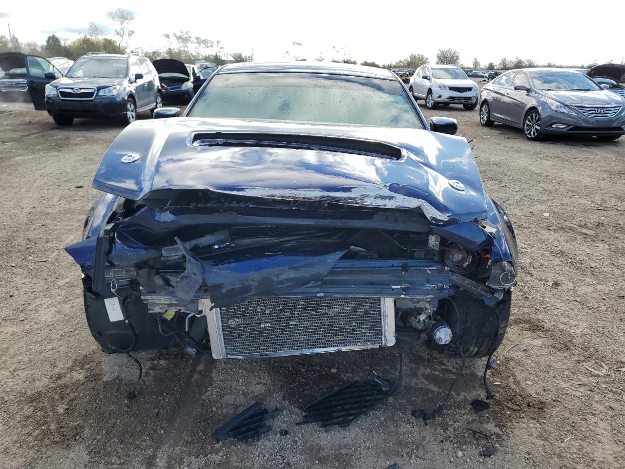 FORD MUSTANG SHELBY GT500