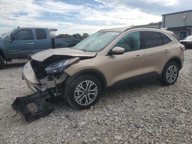 Global Auto Auctions: 2021 FORD ESCAPE SEL