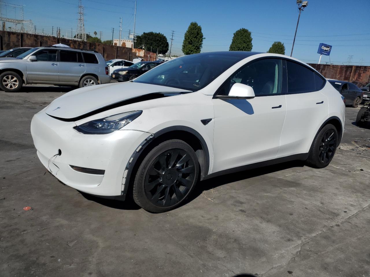Lot #3302893906 2021 TESLA MODEL Y