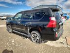 Lot #3304157460 2012 LEXUS GX 460