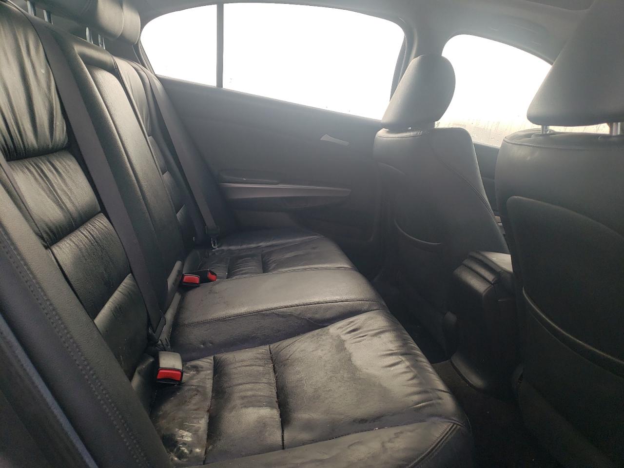 Lot #3284662328 2008 HONDA ACCORD EXL