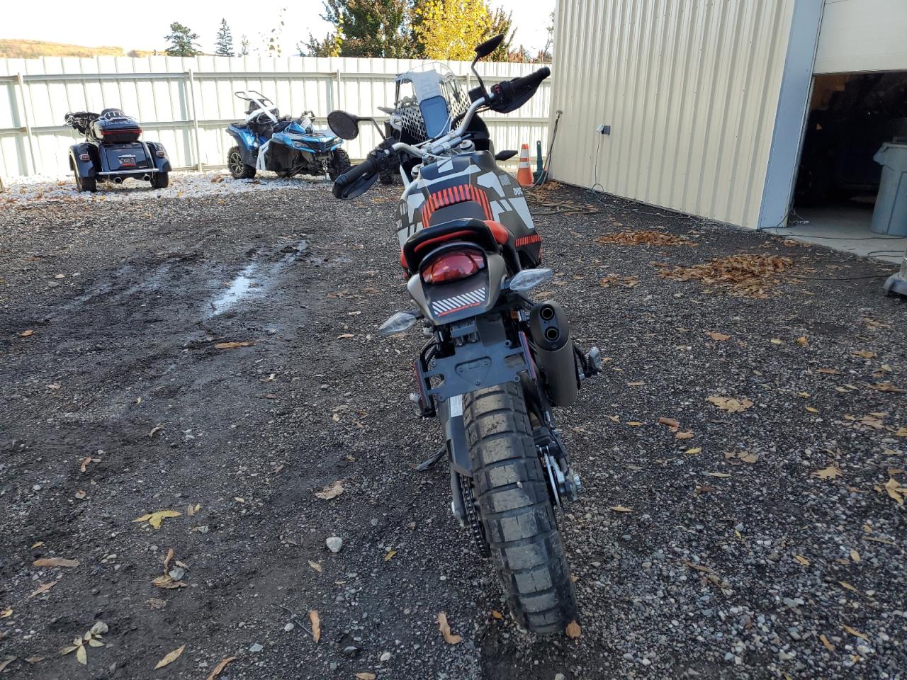 Lot #3291304451 2024 DUCATI DESERT X