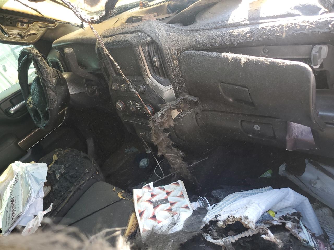 Lot #3302869897 2019 CHEVROLET SILVERADO C1500 LT