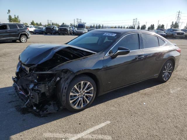 2021 LEXUS ES 300H #3279707932