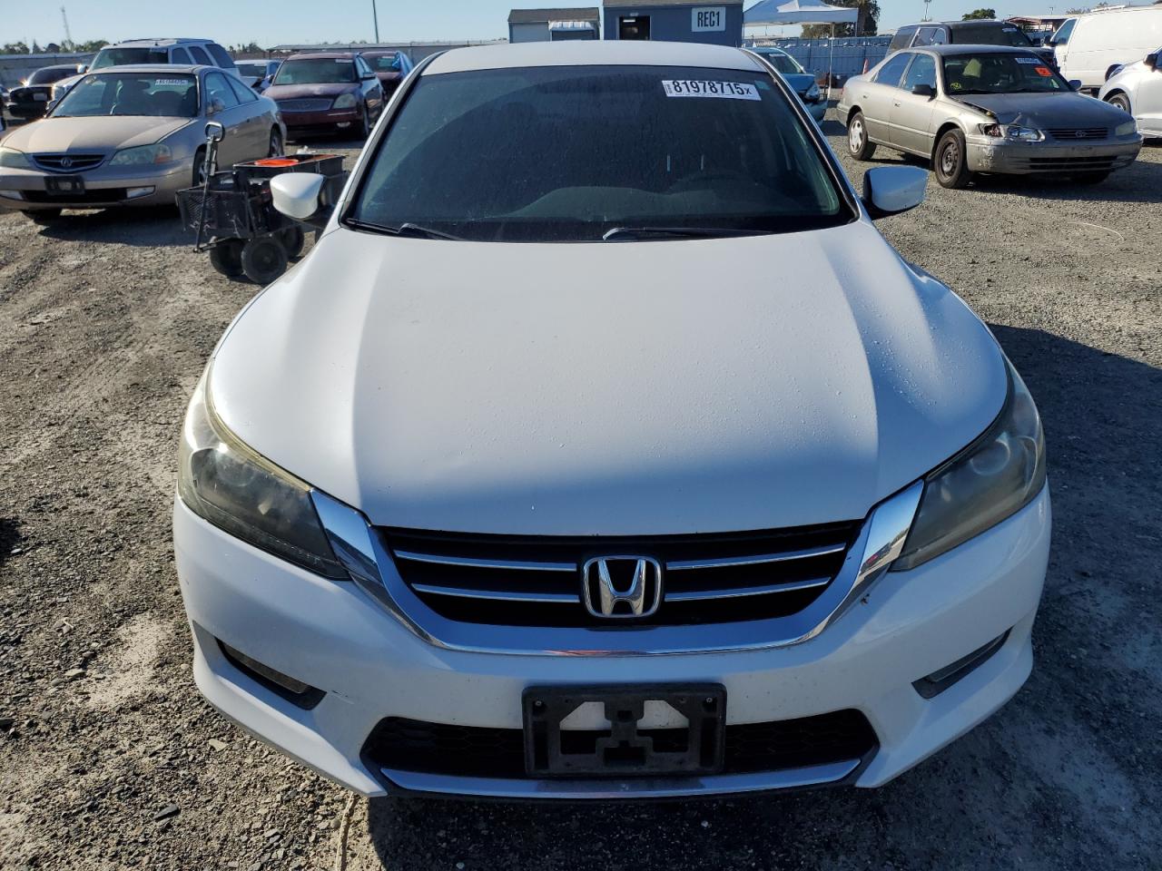 HONDA ACCORD SPORT
