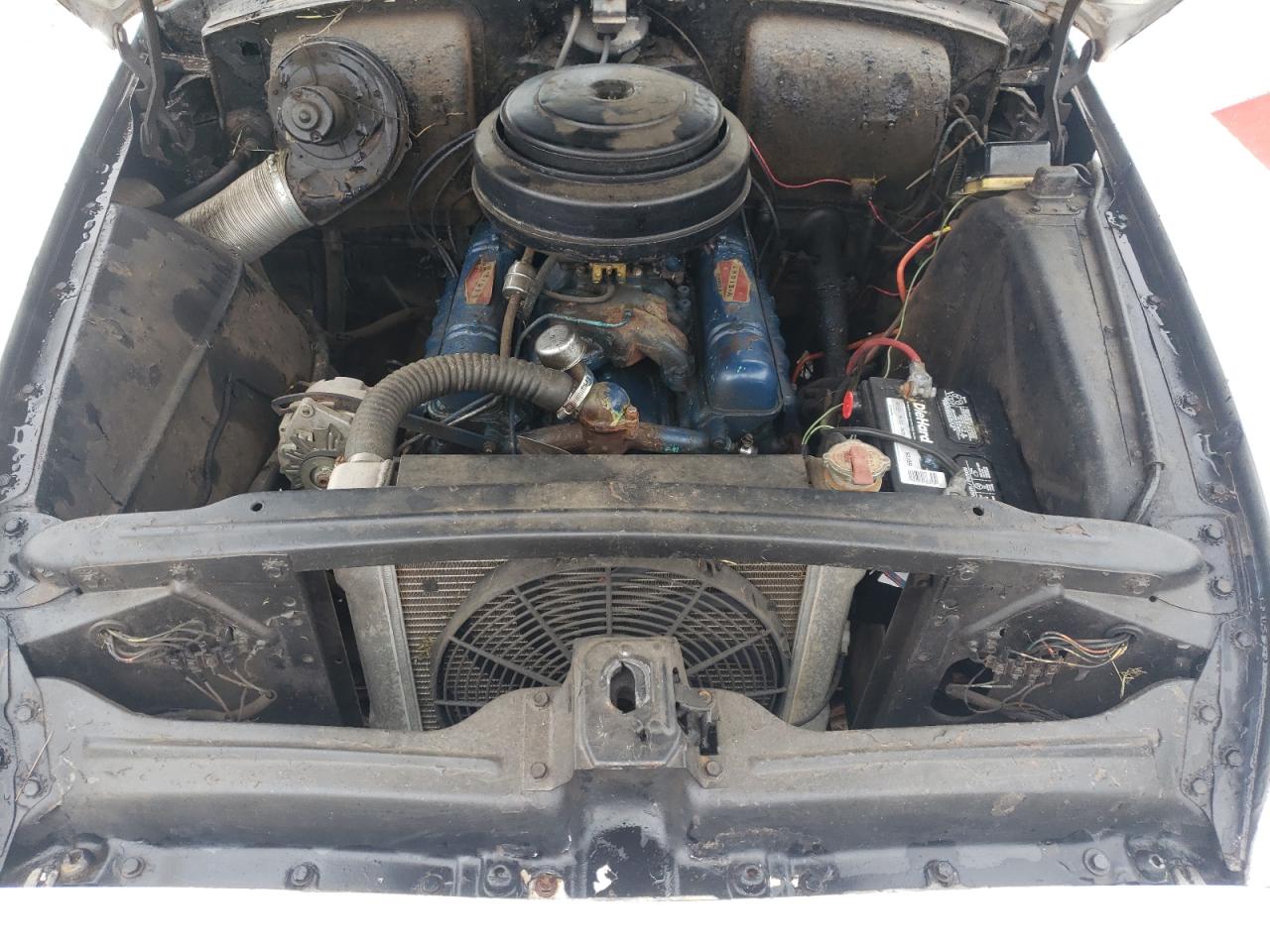 Lot #3281464990 1954 BUICK SPECIAL