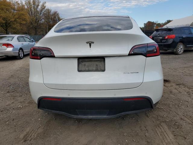 2021 TESLA MODEL Y - 5YJYGDEE7MF106303