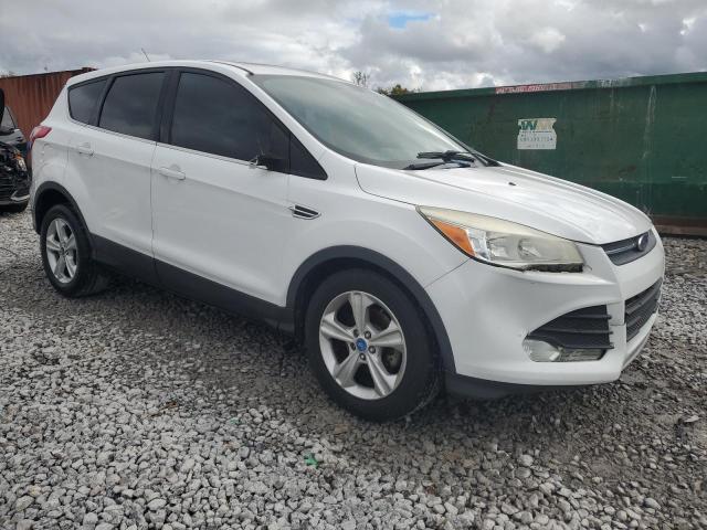 2014 FORD ESCAPE SE - 1FMCU0GX9EUB17091