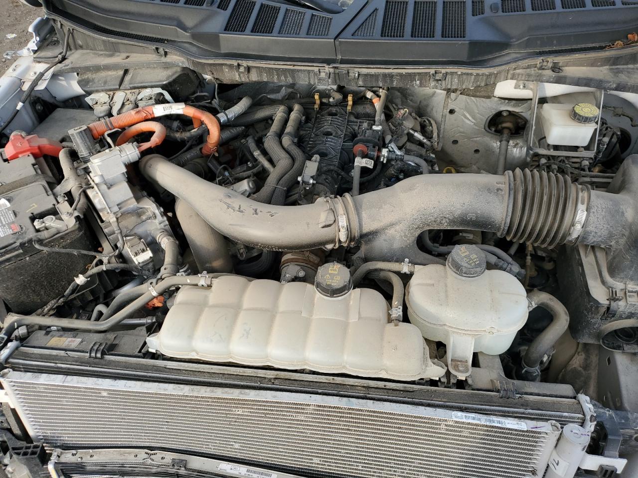 Lot #3292555687 2024 FORD F150 XLT