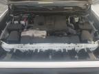 Lot #3304001645 2024 TOYOTA TUNDRA CRE
