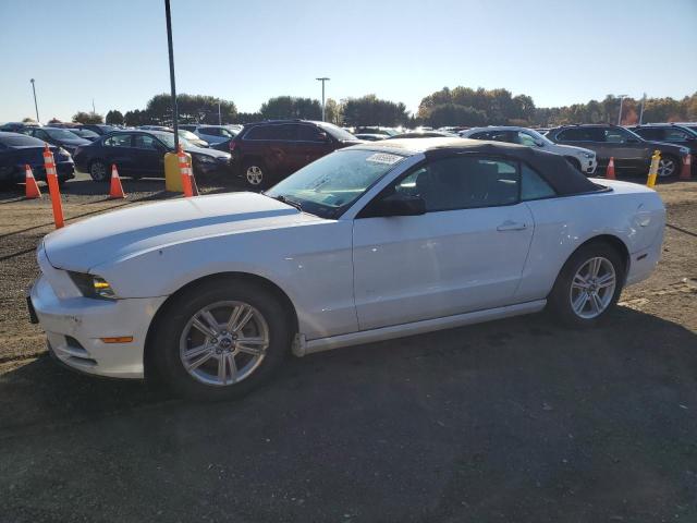 2014 FORD MUSTANG - 1ZVBP8EM5E5310442