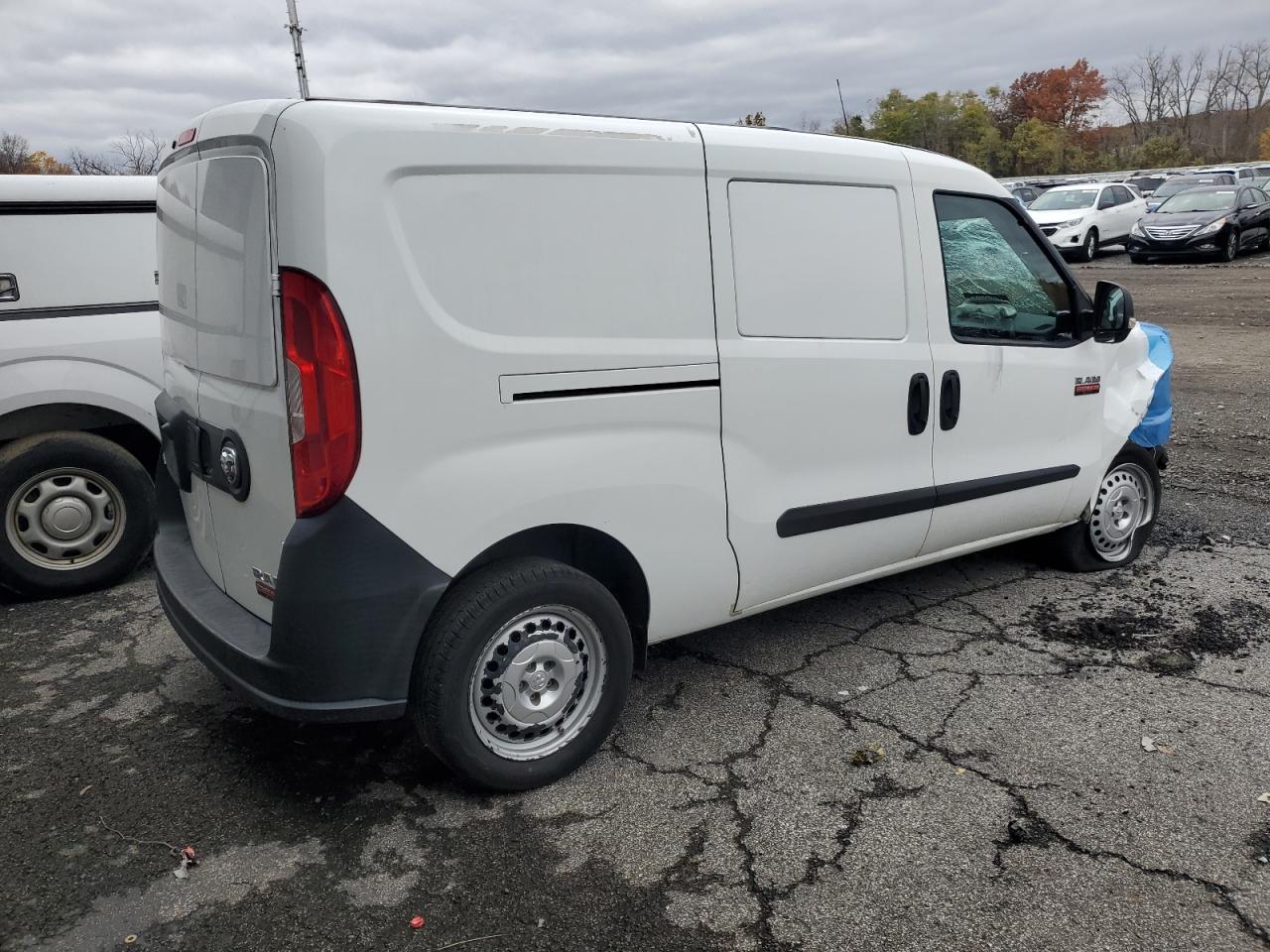 RAM PROMASTER