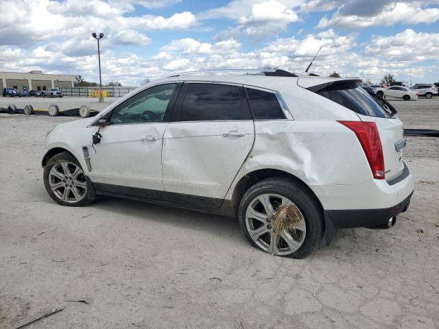 2011 CADILLAC SRX PERFOR - 3GYFNBEY6BS619049