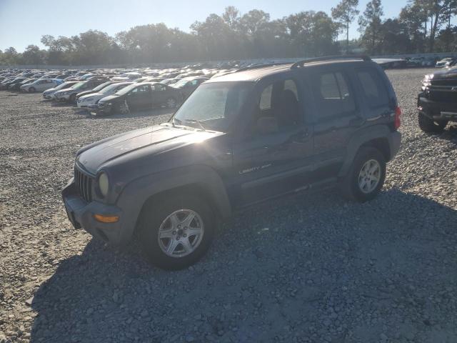 JEEP LIBERTY SP