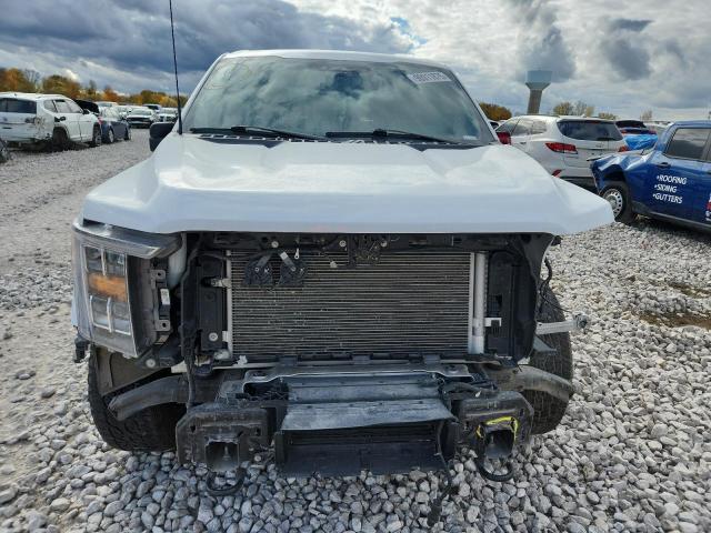 2023 FORD F150 SUPER #3303703026