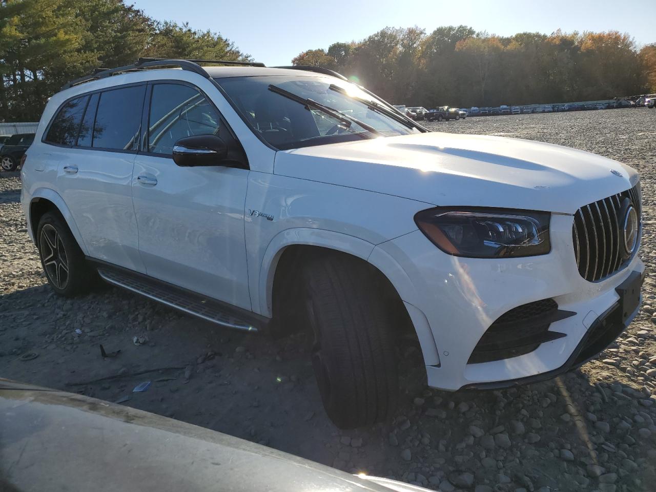 MERCEDES-BENZ GLS-CLASS 580 4MATIC