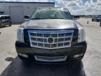 Lot #3304566489 2013 CADILLAC ESCALADE E