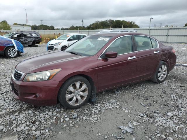 Global Auto Auctions: 2009 HONDA ACCORD EXL