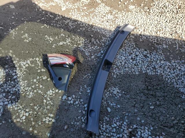 2024 TESLA MODEL Y 7SAYGDEF8RF022459