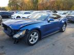 Lot #3292304264 2017 FORD MUSTANG