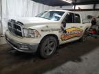Lot #3303954726 2010 DODGE RAM 1500
