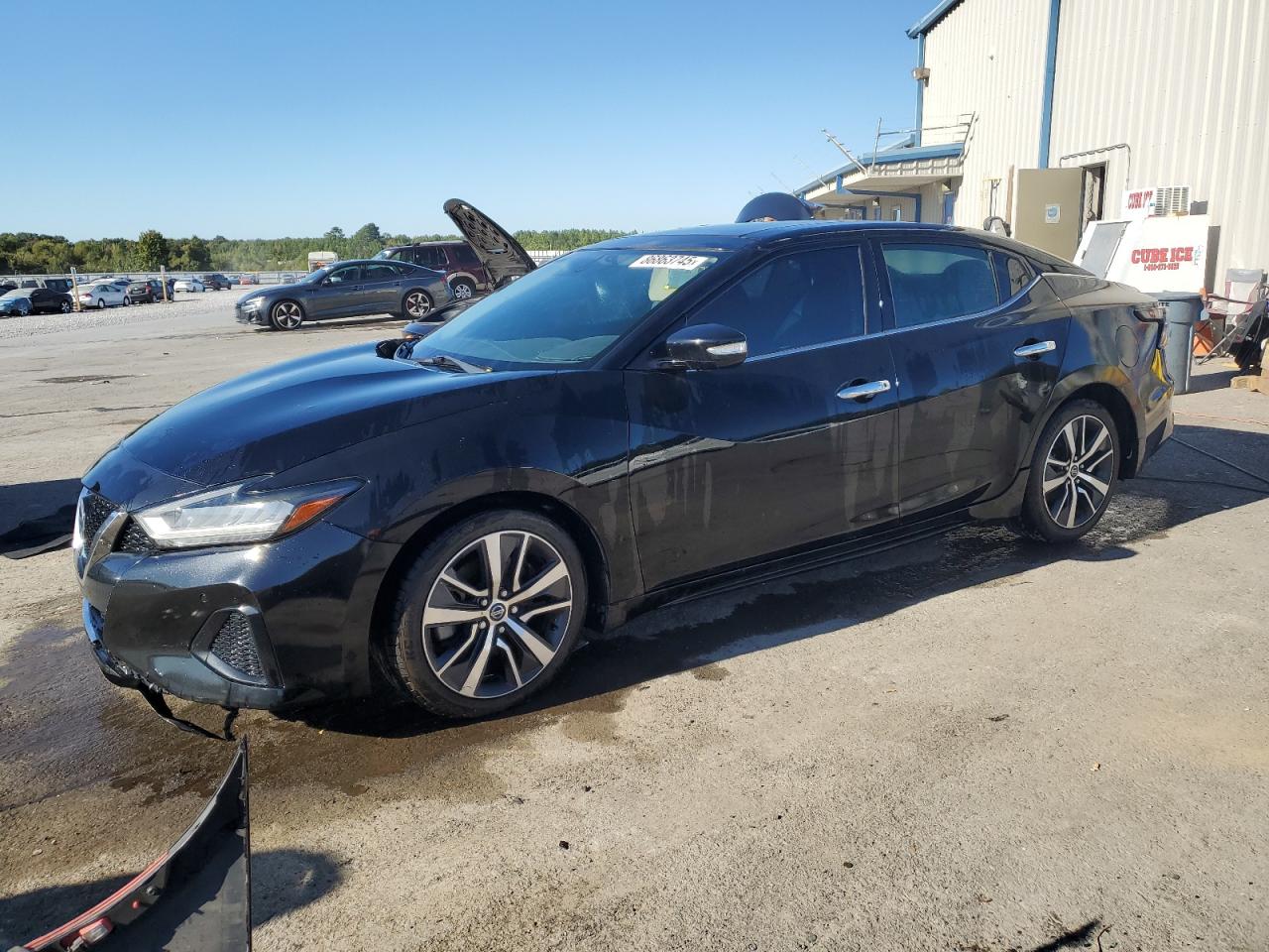 Lot #3278705635 2019 NISSAN MAXIMA S