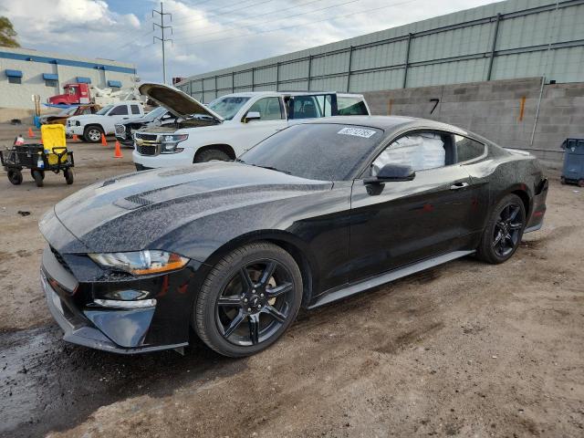 Global Auto Auctions: 2019 FORD MUSTANG