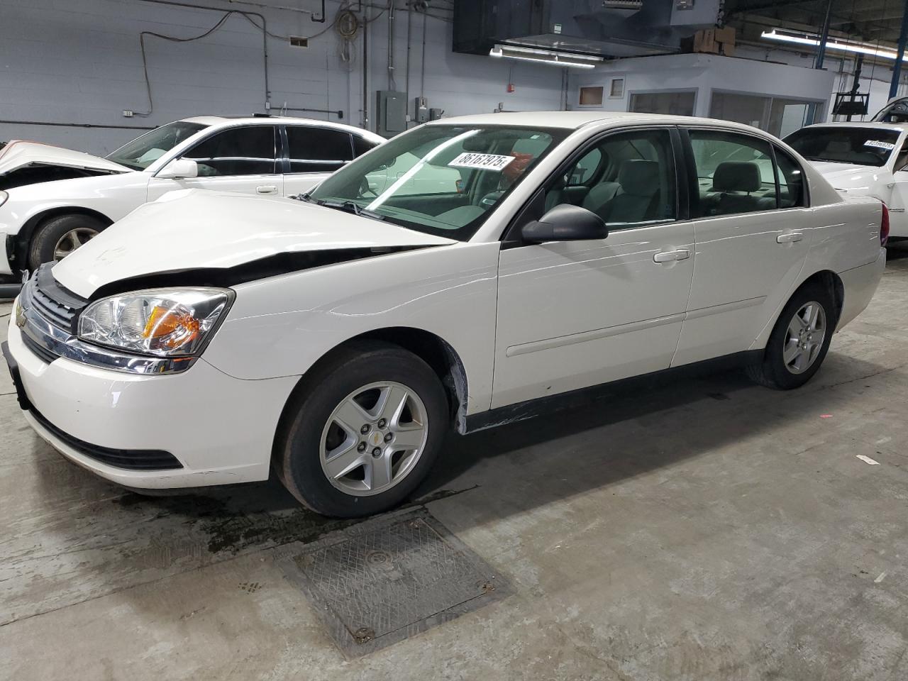 Lot #3294674026 2005 CHEVROLET MALIBU LS