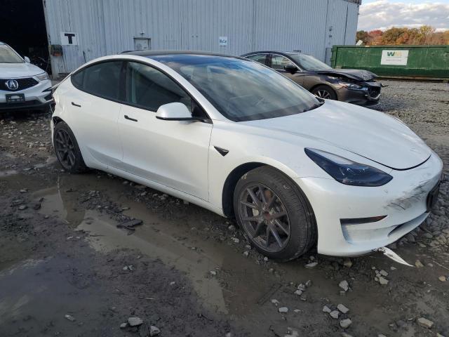 2023 TESLA MODEL 3 #3298105147