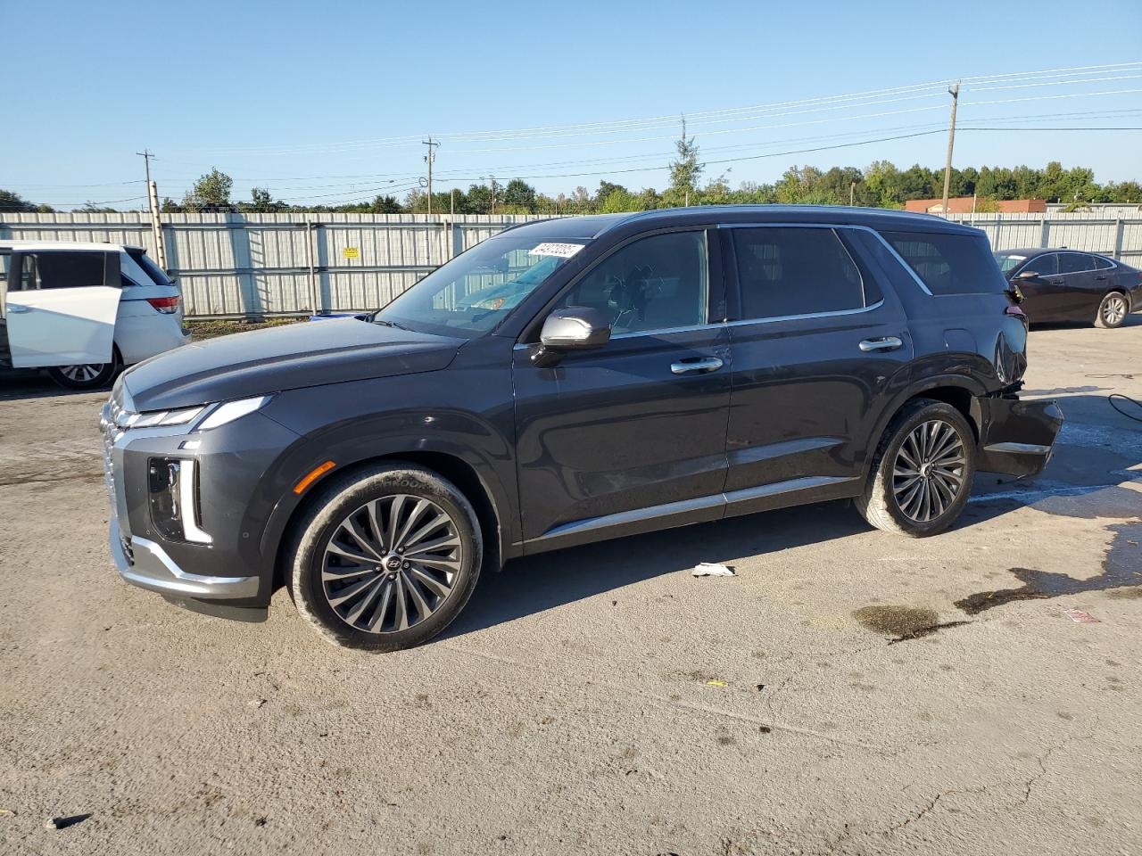 HYUNDAI PALISADE CALLIGRAPHY