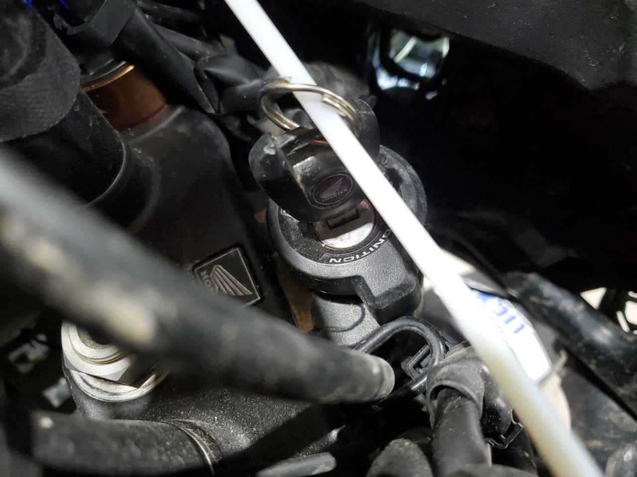 Lot #3284797540 2021 HONDA CRF1100 D4