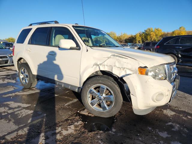 2011 FORD ESCAPE LIM - 1FMCU9EG4BKC29019