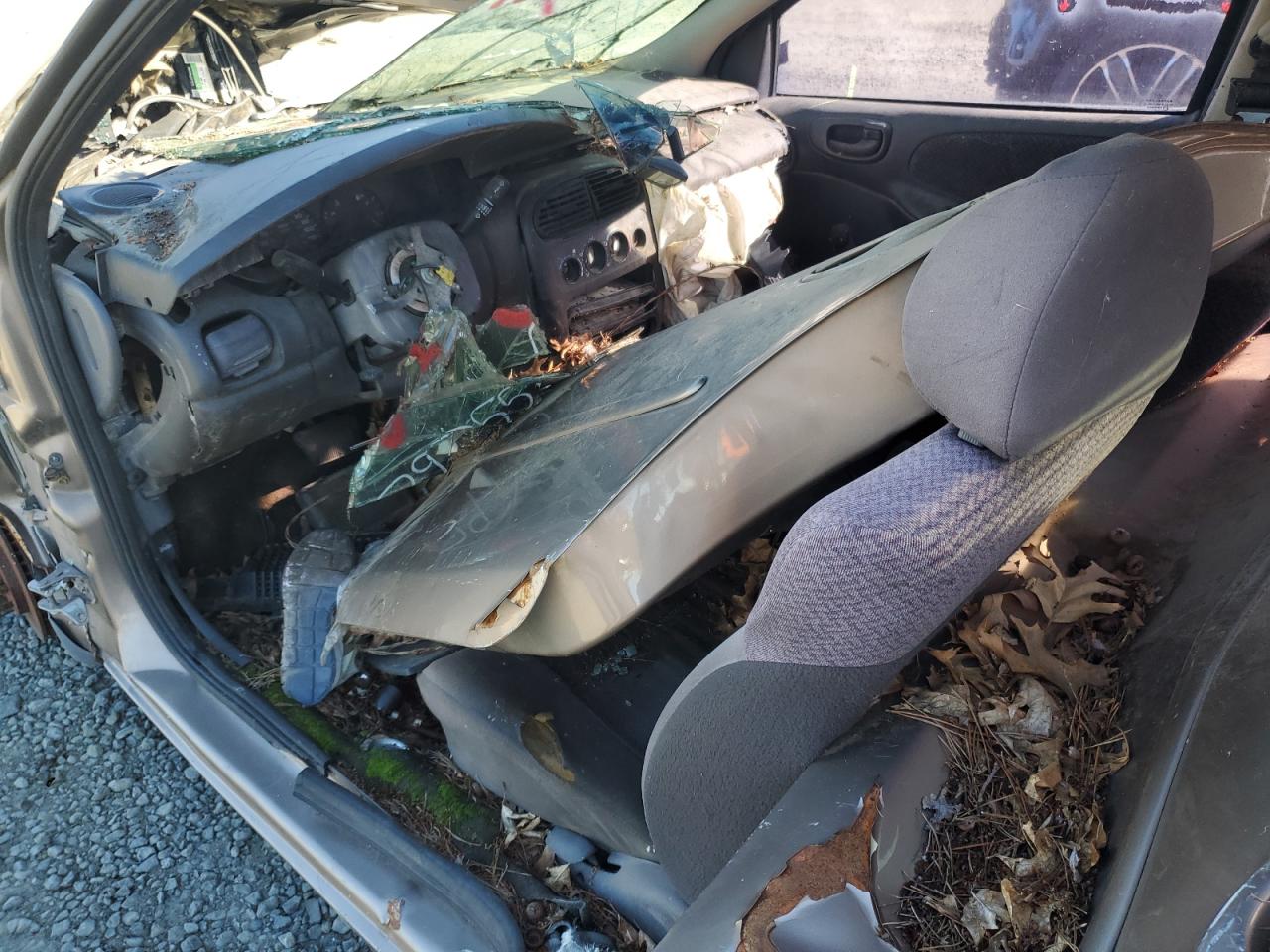 Global Auto Auctions