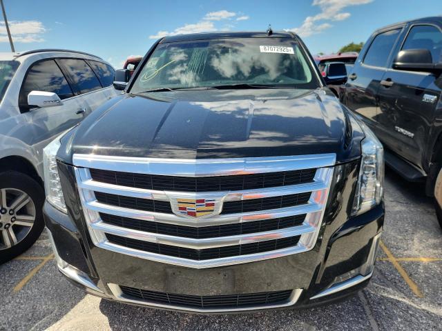 2020 CADILLAC ESCALADE E #3279583294