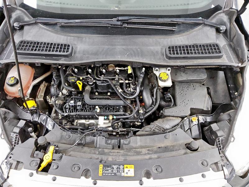 2019 FORD ESCAPE SE - 1FMCU0GD3KUC03207