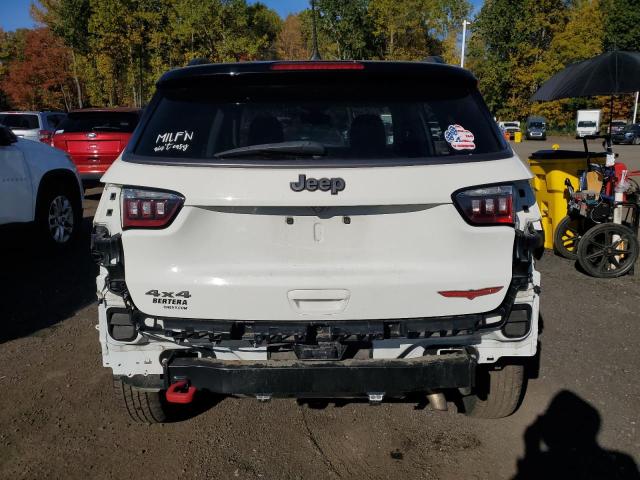 2019 JEEP COMPASS TR 3C4NJDDB1KT775984