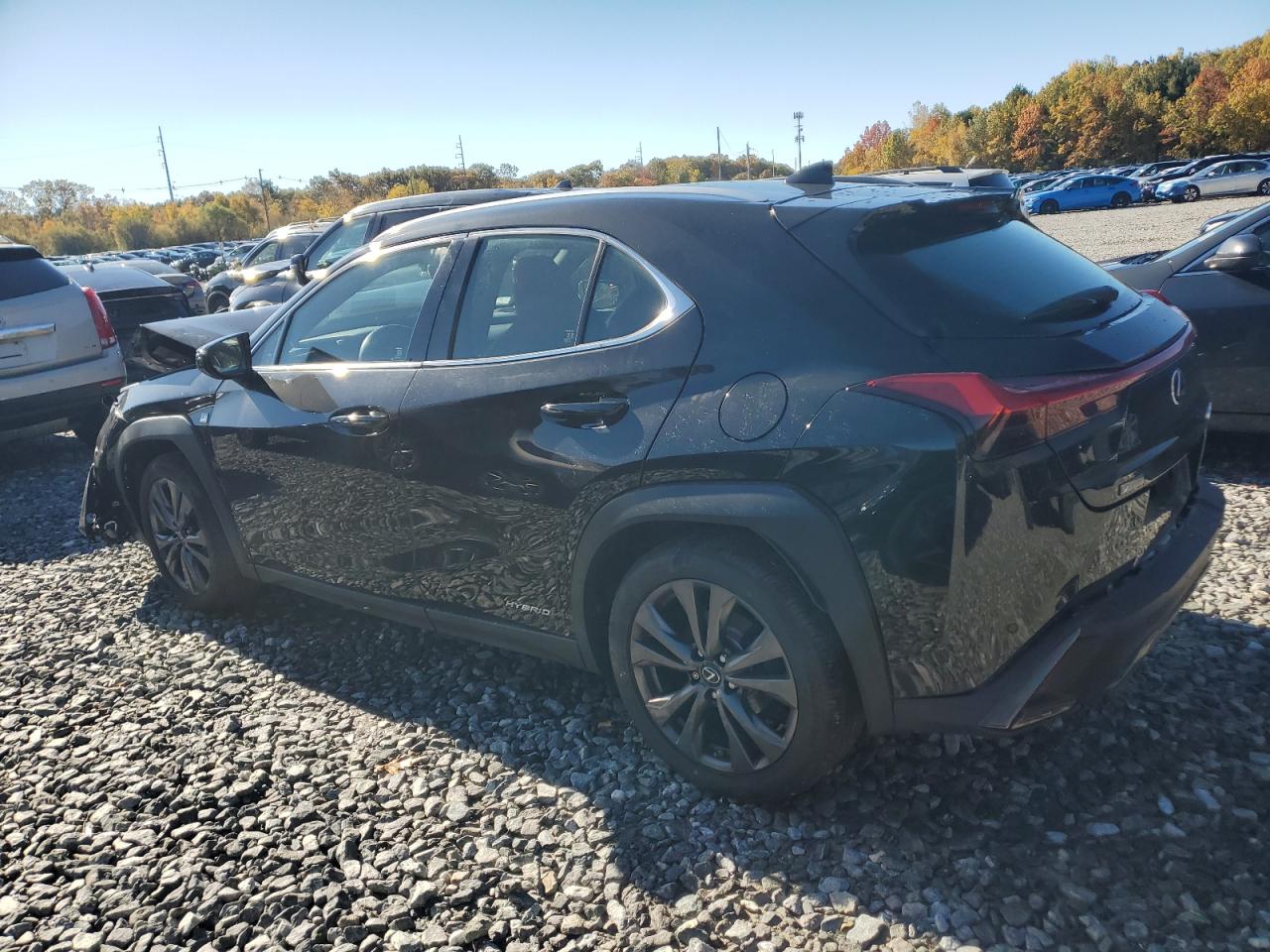 LEXUS UX 250H