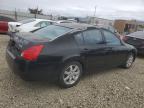 Lot #3294392529 2004 NISSAN MAXIMA SE