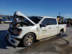 Lot #3297294387 2024 FORD F150 XLT