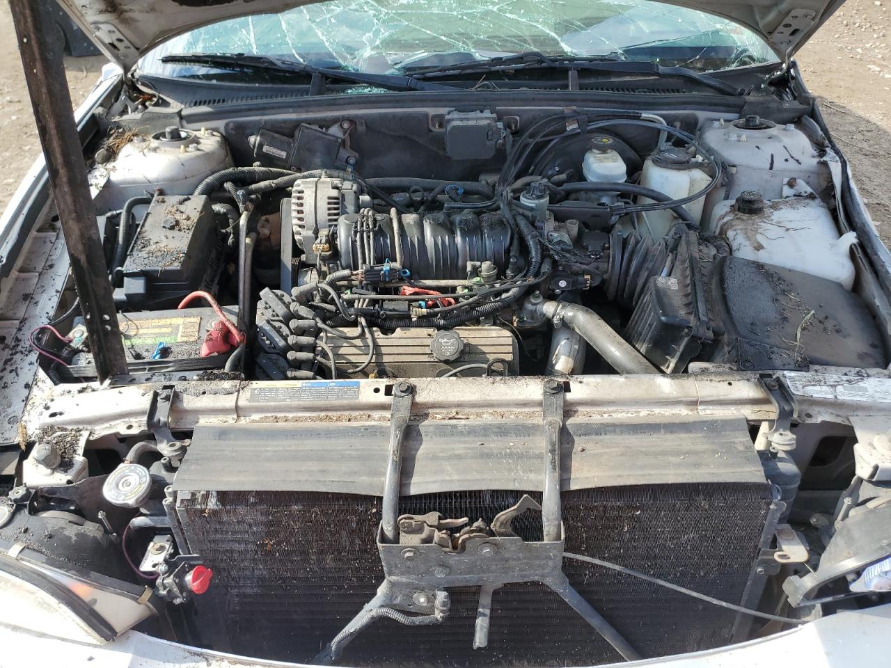 Lot #3290662490 2003 BUICK PARK AVENU