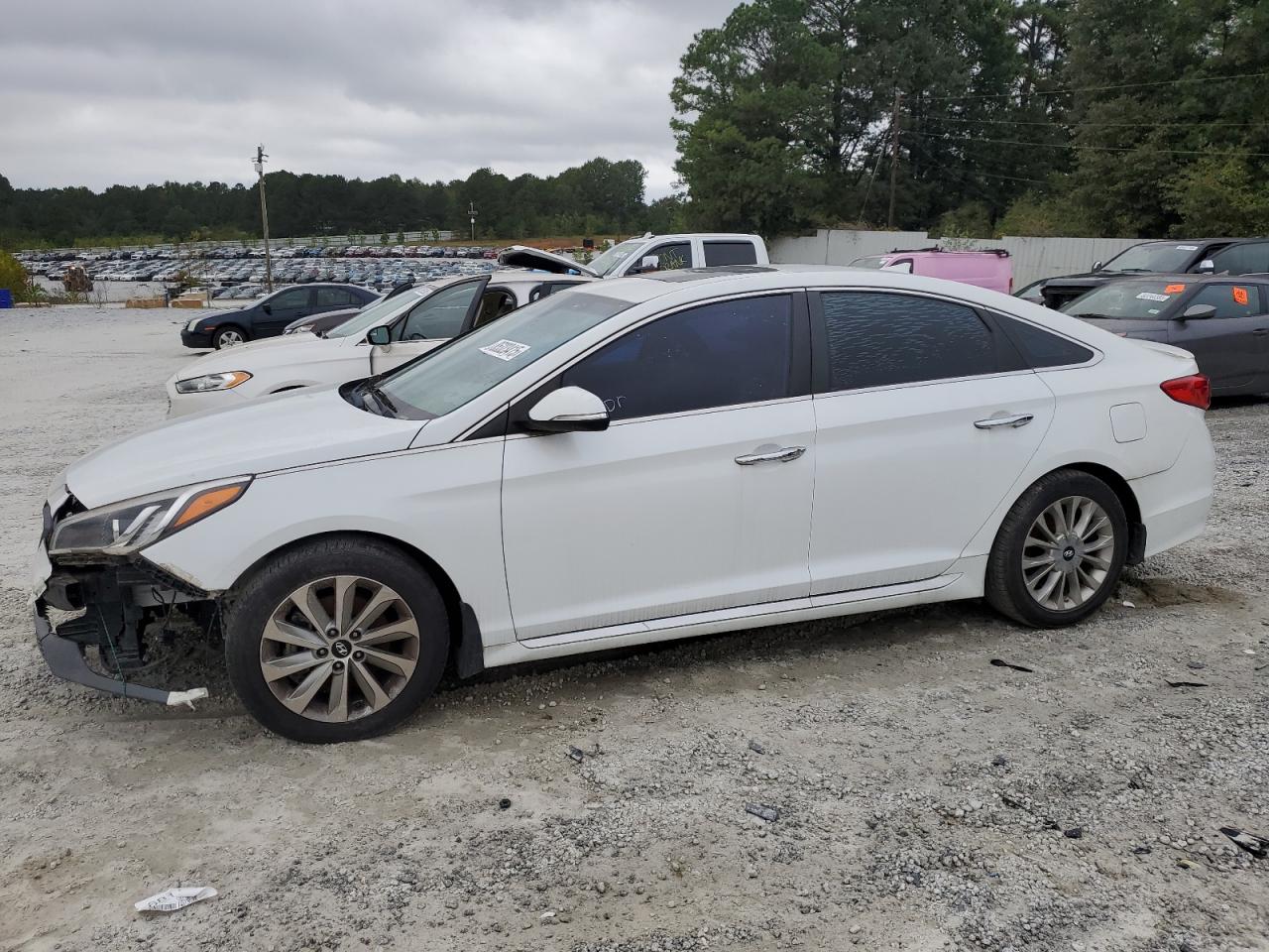 Lot #3265104900 2017 HYUNDAI SONATA SPO
